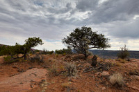 Navajo Monument to Grand Canyon