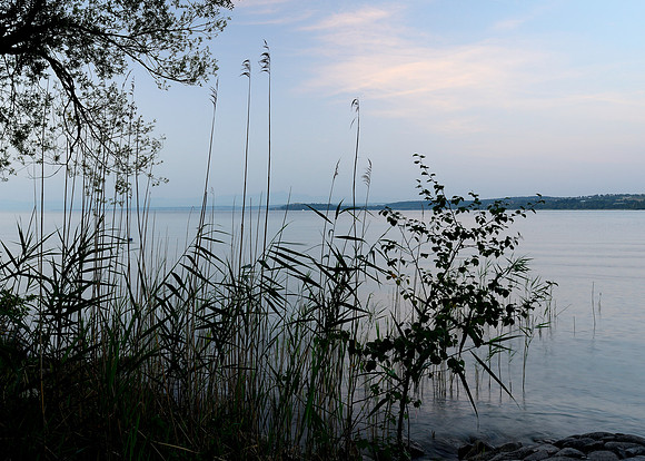 Blog 12 June 2015