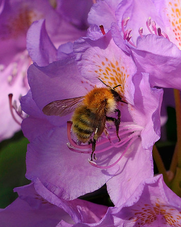 Blog 03 July 2015