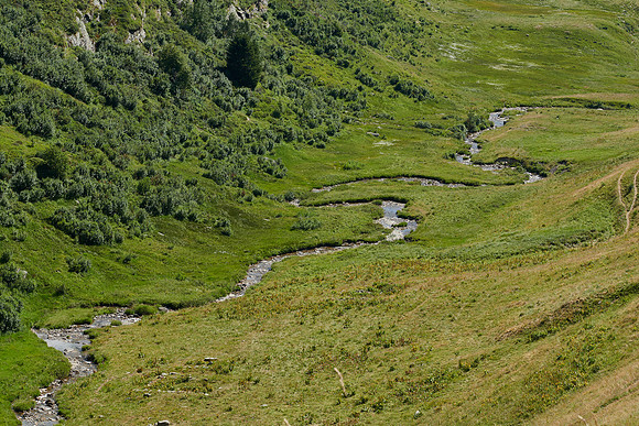 22-07-12 _8501202