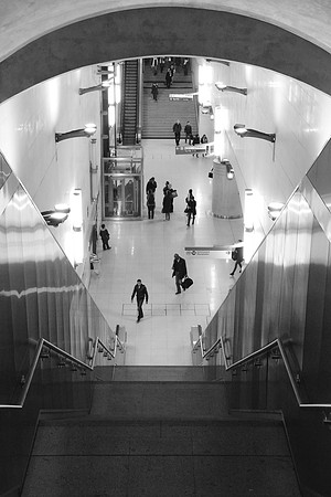 Blog 23 January 2016