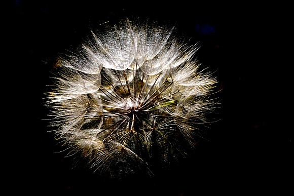 Blog 04 November 2015