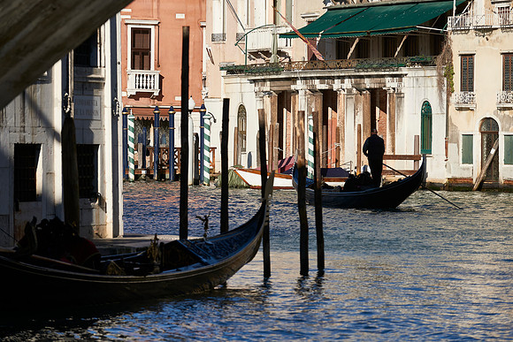 Venice  611