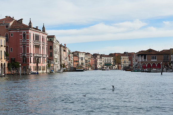 Venice  341