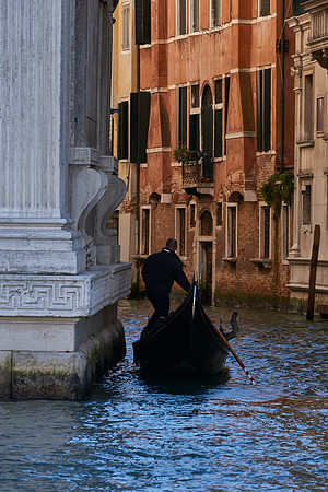 Venice  600