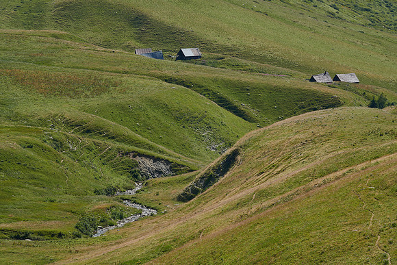 22-07-12 _8501205