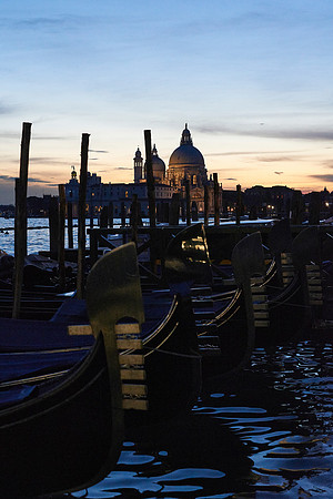 Venice  518