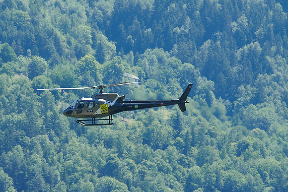 22-07-15 _8501710