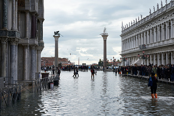 Venice  53