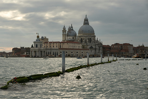Venice  35